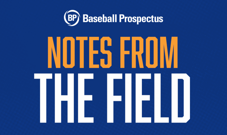 Notes From the Field: Texas Rangers Futures Camp