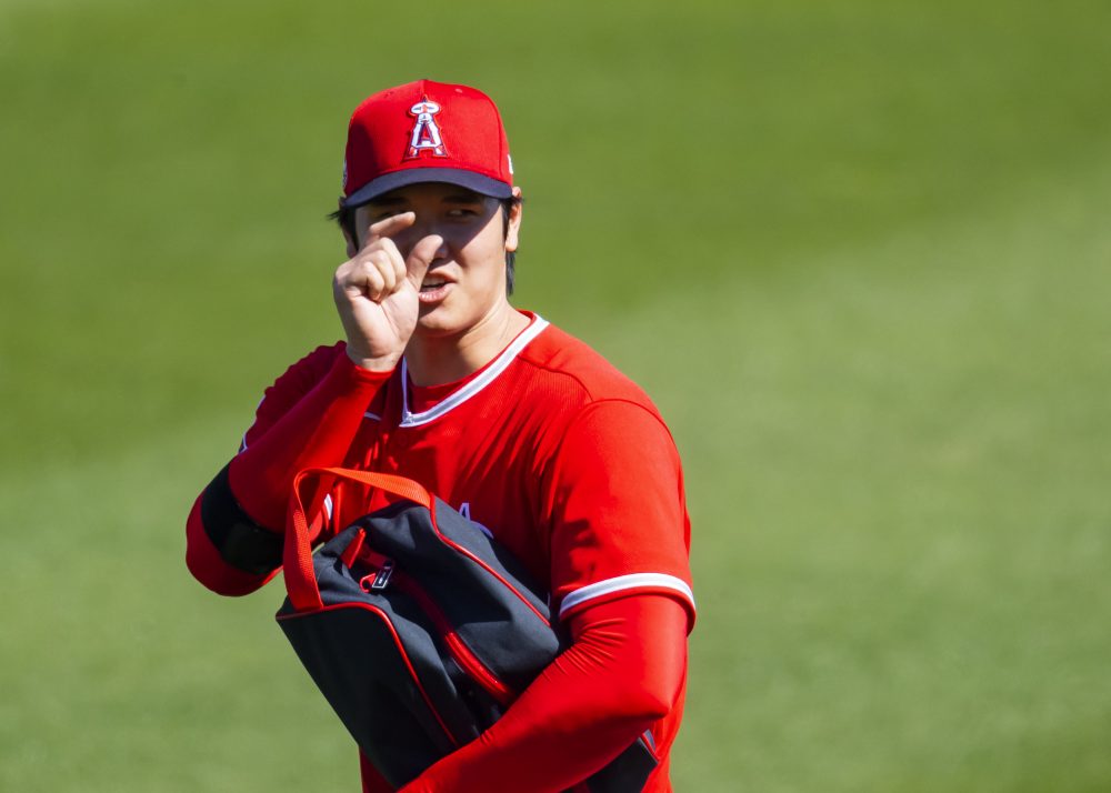 PECOTA Hates Your Team: Los Angeles Angels - Baseball ProspectusBaseball  Prospectus