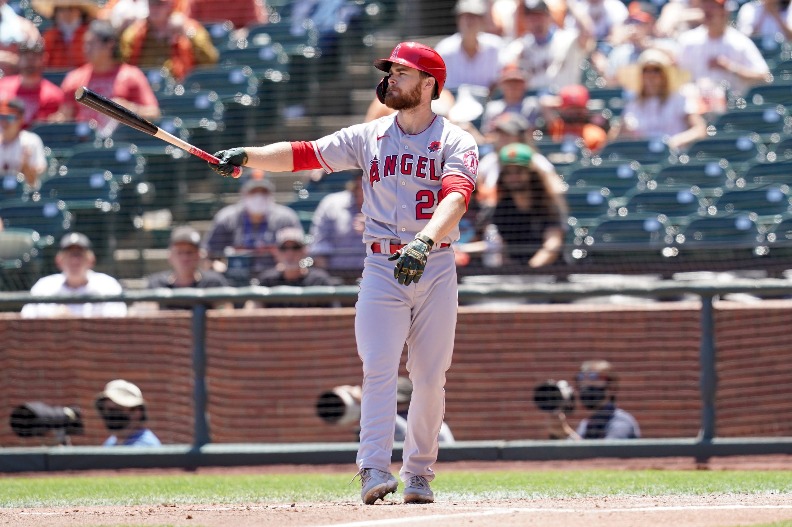 Is Jared Walsh Too Risky in Fantasy? - Baseball ProspectusBaseball  Prospectus