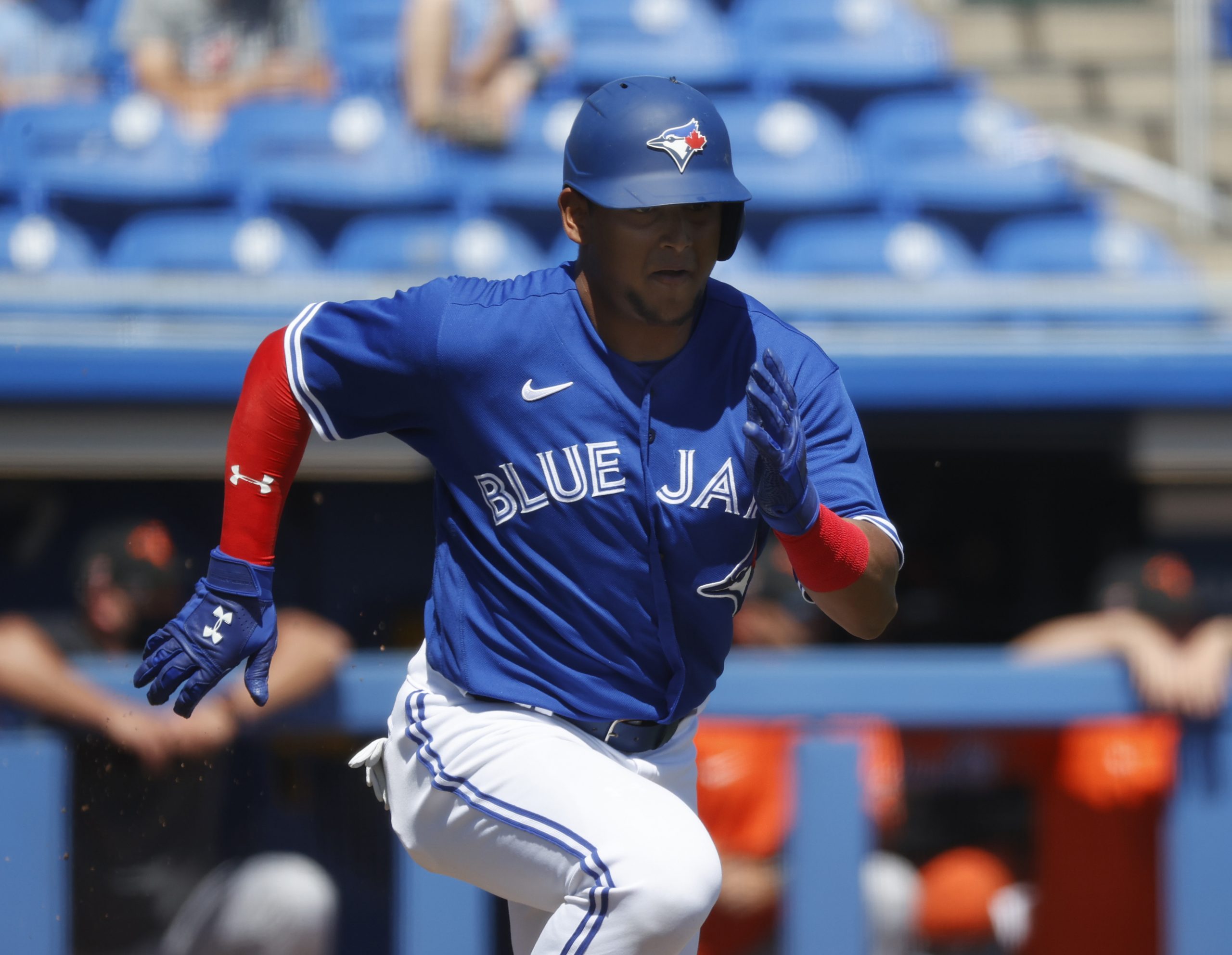 Toronto Blue Jays Top Prospects Baseball ProspectusBaseball Prospectus