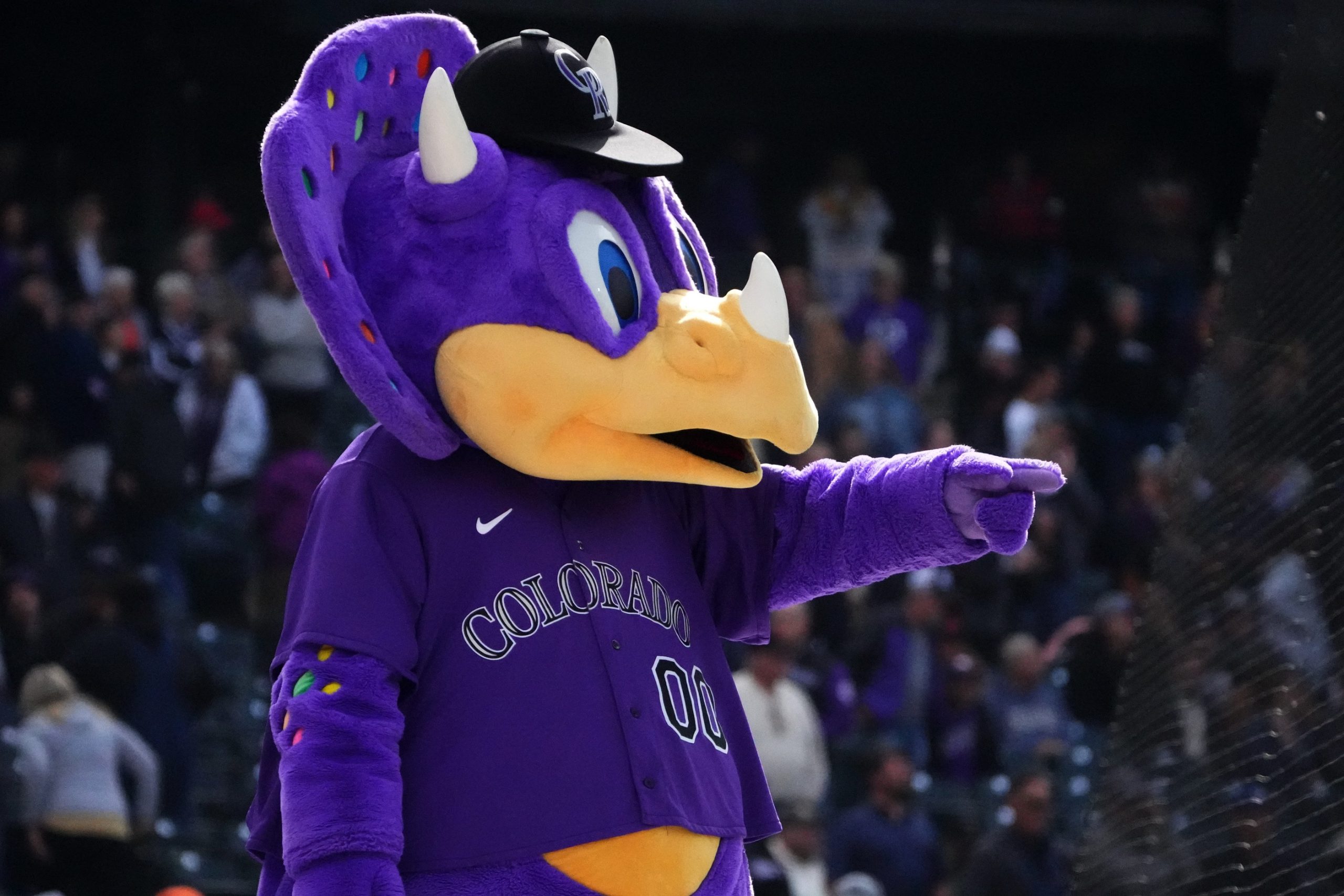 435 Colorado Rockies Mascot Stock Photos, High-Res Pictures, and