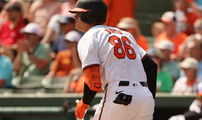 Minor League Update: Oops (Almost) All Orioles